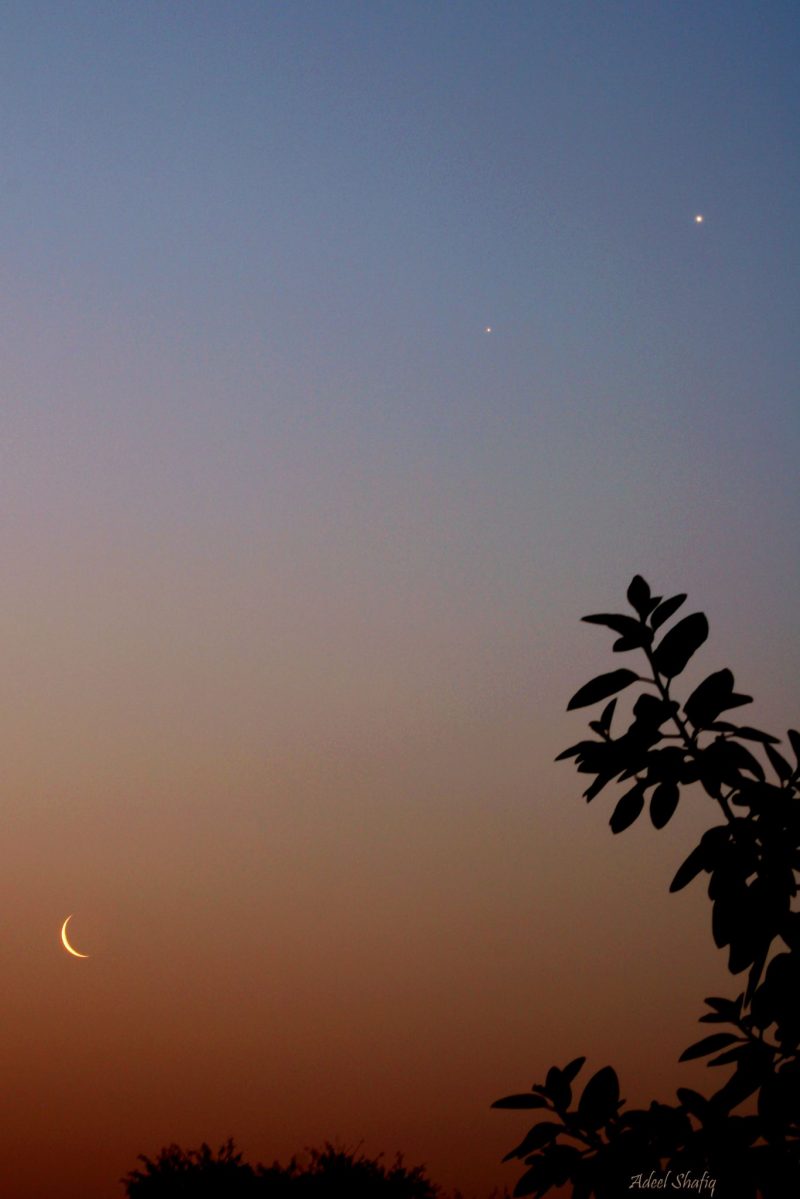 渐弱的月牙告别了早晨的天空，在橙红渐变至深蓝的天空中划分出了行星与月球的区域。美丽的景象还有树的前景做装饰。作者：Mohammad Adeel